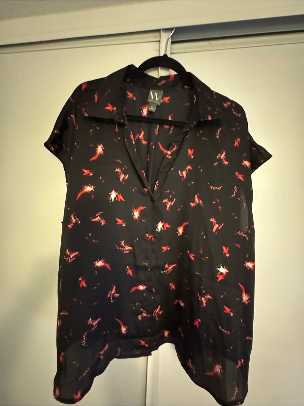 Worthington Black Top with Red Abstract Brushprint
